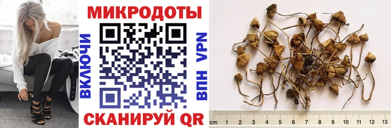 Галлюциногенные грибы прущие грибы  Невинномысск 